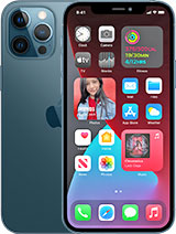 Best available price of Apple iPhone 12 Pro Max in Oman