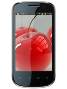 Best available price of Celkon A19 in Oman