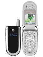 Best available price of Motorola V186 in Oman