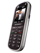 Best available price of Motorola WX288 in Oman