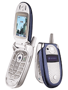 Best available price of Motorola V560 in Oman