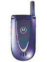Best available price of Motorola V66i in Oman