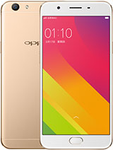 Best available price of Oppo A59 in Oman